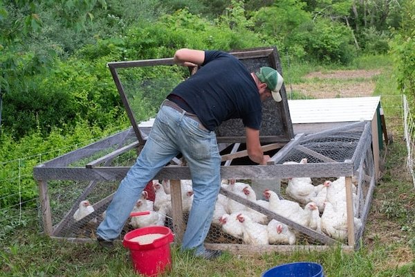 Comment découvrir le terroir local lors d'un voyage en France ?